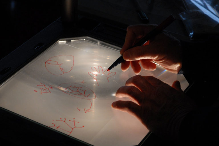 Scrivere, azione complessa